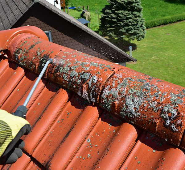 Démoussage toiture près d'Angoulins
